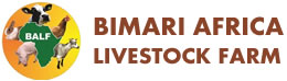 Bimari Africa Livestock Farm